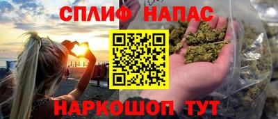 гидра Шелехов